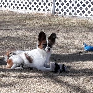 Meet your Posher, Vicki